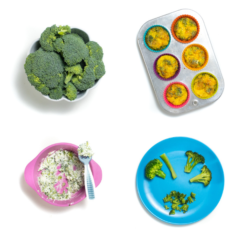 4张照片的网格 - 五颜六色的盘子和碗，配以西兰花的婴儿。