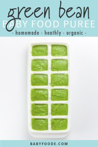 短信——“头发”，绿色的健康，健康的，有机食品和有机蔬菜。绿色的颜色是一个白色的绿色棉布，在一个绿色的绿色植物里，用一堆草莓糖袋的糖袋
