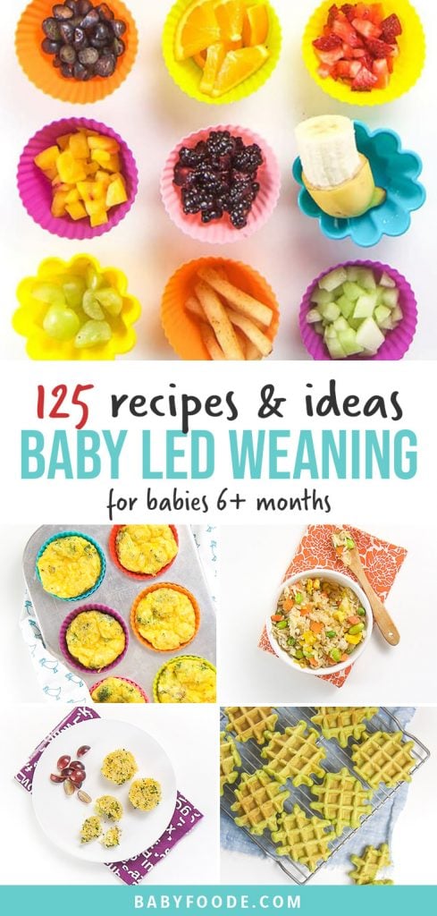 Pinterest拼贴有关婴儿LED断奶食品，食谱和技巧的文章。bob电竞网页