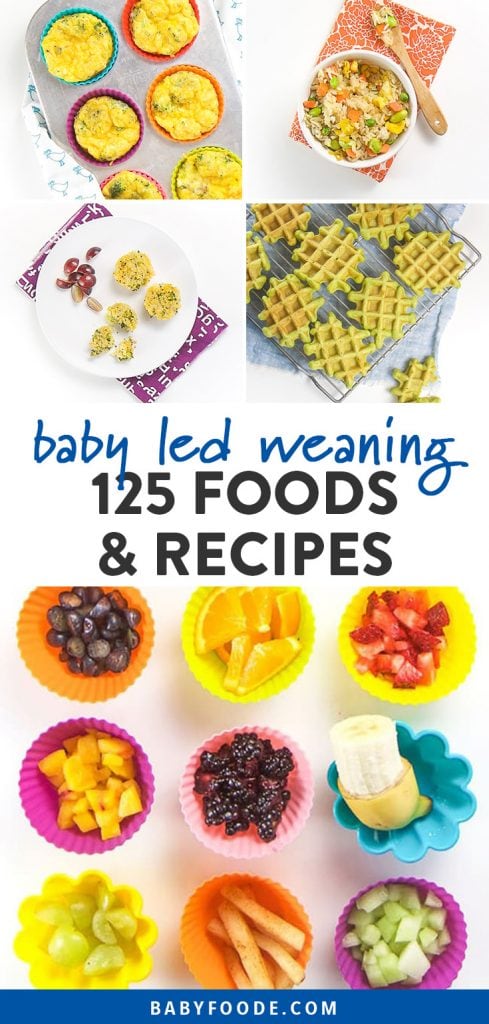 Pinterest拼贴有关婴儿LED断奶食品，食谱和技巧的文章。bob电竞网页