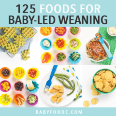 帖子的图形-125种婴儿LED断奶的食物，并带有一大堆婴儿的食谱和婴儿食物。bob电竞网页