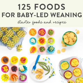 婴儿的网格LED断奶入门食品和食谱。bob电竞网页