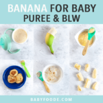香蕉为婴儿，图像是多种制作香蕉食品6-12个月及以上的方法。
