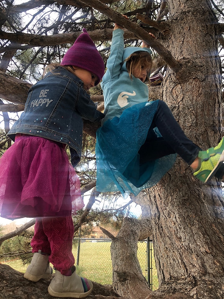 孩子爬着树。