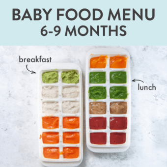 邮政图形 - 婴儿食品菜单6至9个月。图像是带有两个白色托盘的婴儿食品的海湾大理石台面，并带有各种口味和颜色。