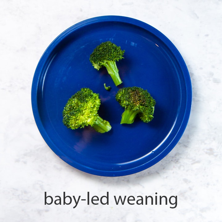 西兰花一块盘子已经准备好用于婴儿LED断奶。