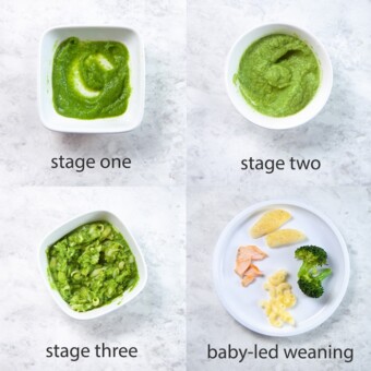 图像网格显示不同的婴儿食品阶段。