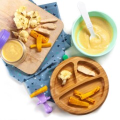 为婴儿提供饭菜 - 果泥或手指食物，用于婴儿主导的断奶。GydF4y2Ba