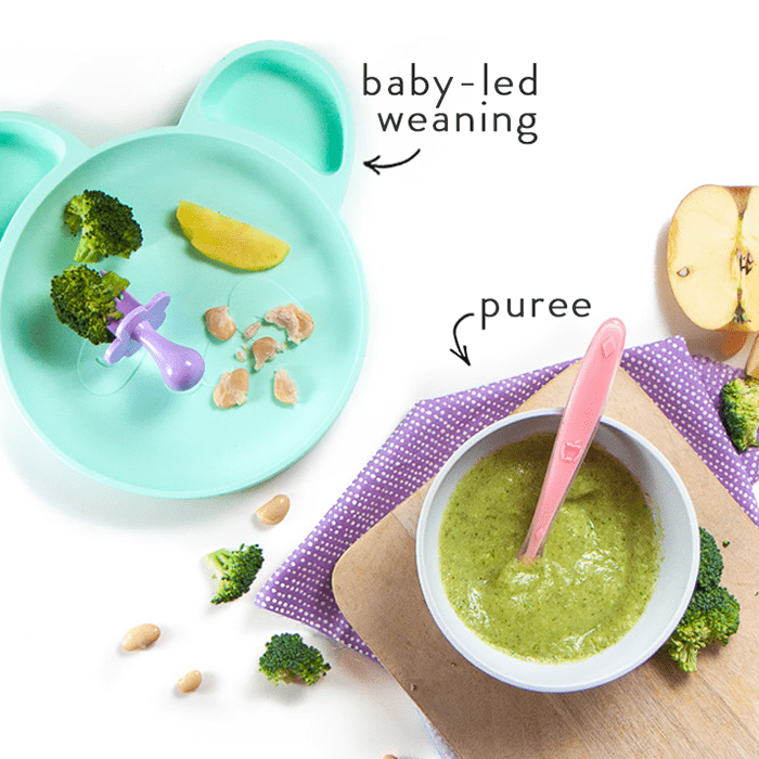 一顿饭为宝宝 - 婴儿食品泥或婴儿led断奶。