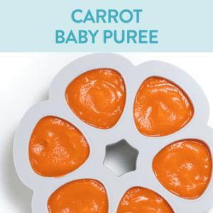 胡萝卜婴儿泥 - 灰色储物容器，装有光滑的胡萝卜泥。