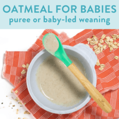 用于婴儿后燕麦片的图形 - 果泥或婴儿主导的断奶，图像是碗，碗有泥燕麦，勺子在上面搁在上面，