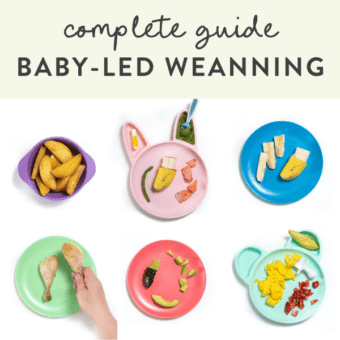 邮政图形 - 完整的指南婴儿LED断奶 - 持续6个月以上。图像是一个婴儿自喂鳄梨的图像以及如何切割和提供婴儿食品的网格中的五颜六色的盘子。
