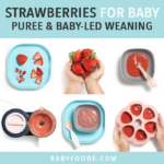 邮政图形 - 婴儿的草莓 - 果泥或婴儿主导断奶。图像在网格中，双手炫耀不同的食物。