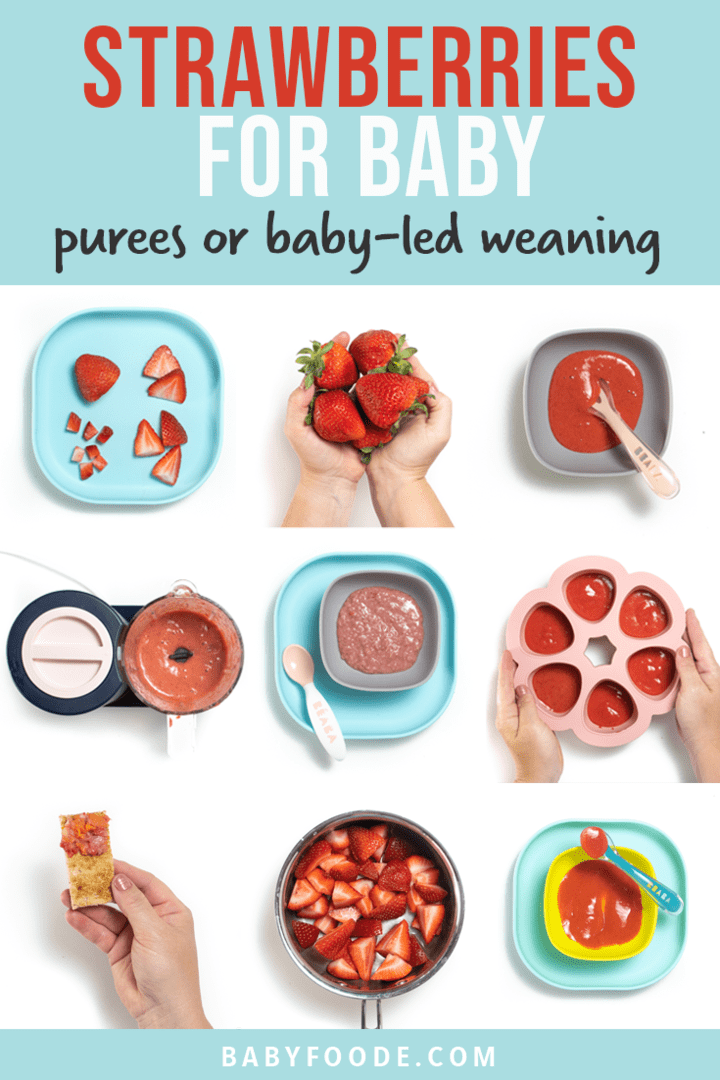 给婴儿的婴儿——婴儿的毯子，或者“草莓”。图像在网上有一种不同的食物。
