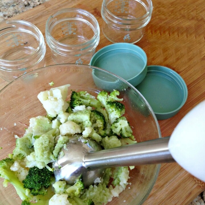 一碗蔬菜在一个碗里和手动搅拌器的碗中，使其成为婴儿的果泥