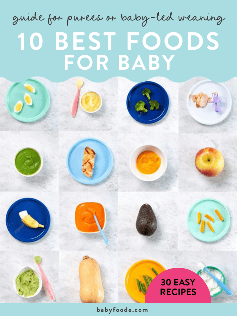 邮政图形 - 果泥或婴儿主导断奶指南 - 婴儿10种最佳食物。图像位于五颜六色的盘子上，里面装满了婴儿的健康食品。