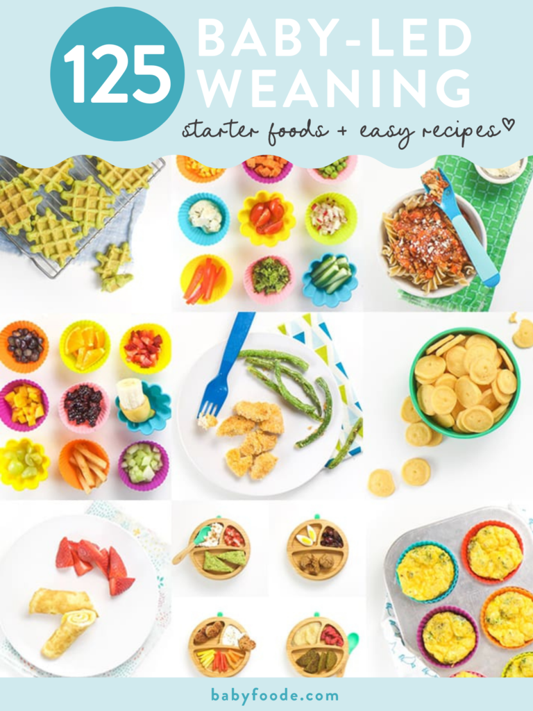 邮政图形-125个婴儿主导的断奶入门食品和简单的食谱。bob电竞网页图像位于带有五颜六色的板和器皿的网格中。