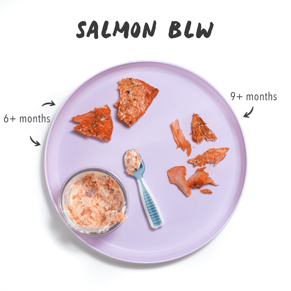 生前断奶沙门图形显示不同尺寸你可以向婴儿提供鲑鱼
