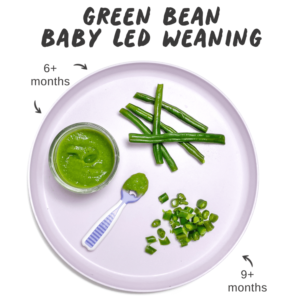 图形显示了紫色的婴儿板，并使用3种不同的方法，可在白色背景下提供绿豆，以进行婴儿为主导的断奶。GydF4y2Ba