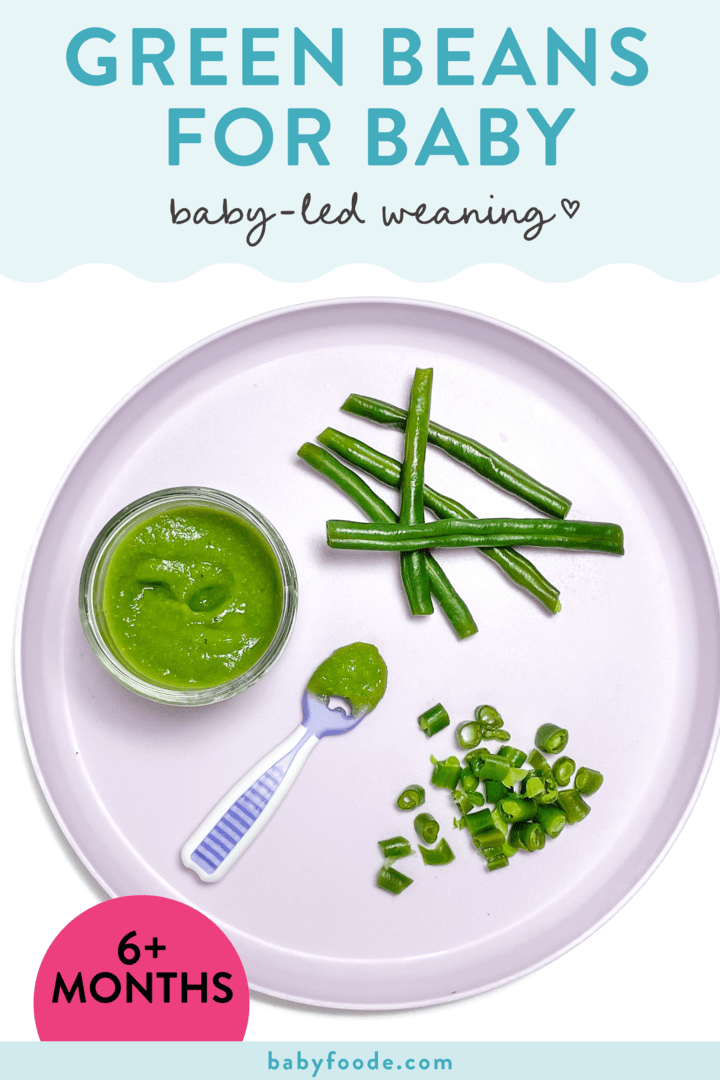 图形四个帖子 - 婴儿LED的绿豆，为6个月以上的婴儿提供了很好的断奶。紫色盘子的图像被切碎的木棍和果酱的图像。GydF4y2Ba