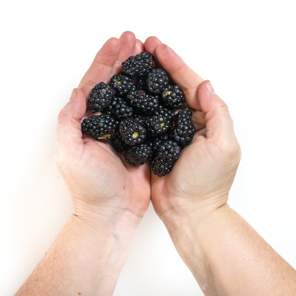 双手握着一堆黑莓