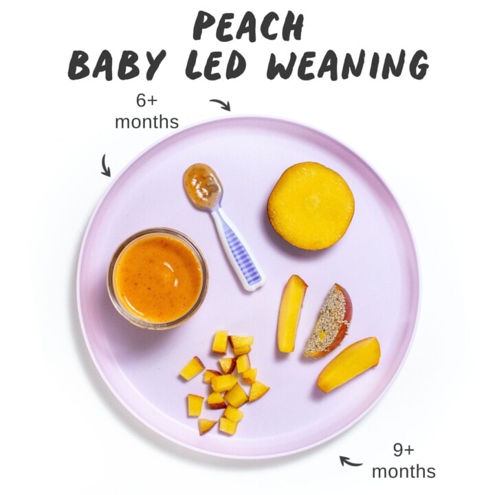 邮政的图形 - 婴儿LED断奶的桃子，带有紫色的盘子显示您可以将桃子切成不同尺寸的桃子。GydF4y2Ba
