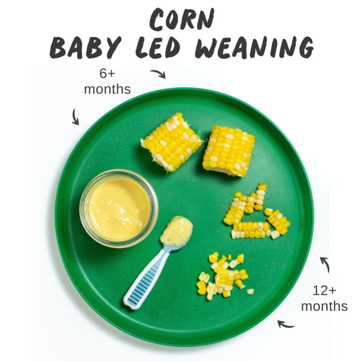 图形文章-玉米编织图像显示绿色小盘以不同方式向小宝宝提供玉米