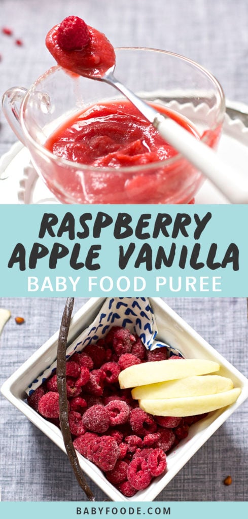 Post-Raspberry苹果和Vanilla婴儿食品Puree图形Bob电竞竞猜清晰碗中填满纯度和填满产物的广场碗图像