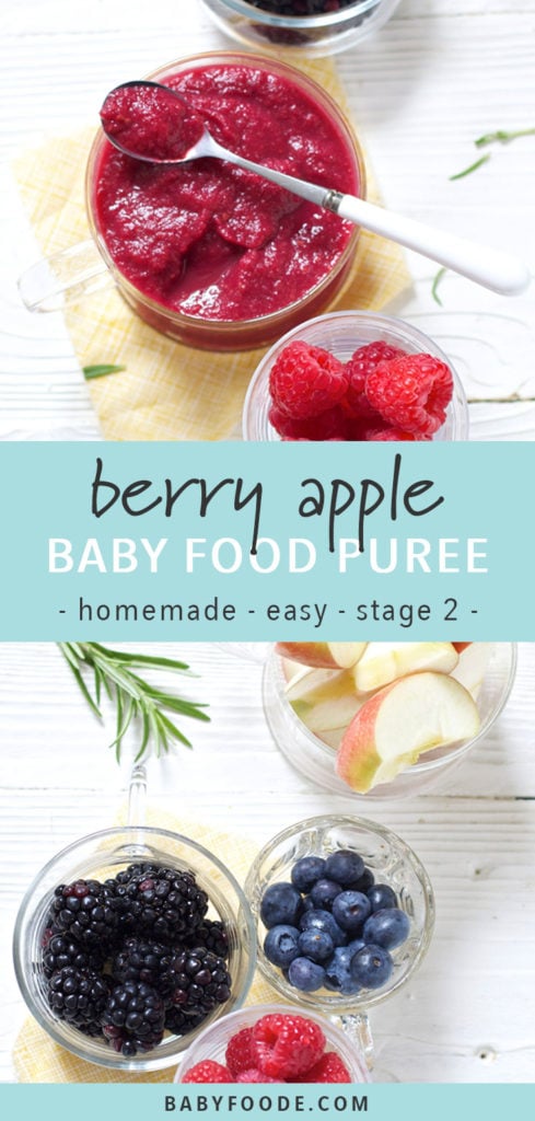 图形文章-Berry苹果小菜Puree自制简单二级Bob电竞竞猜图片显示玻璃碗散装产物和自制婴儿食品净化物以及物价扩散图像