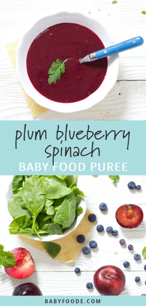 图形文章-Plum蓝莓spinach婴儿食品PureeBob电竞竞猜图片上装满自制婴儿食品的白碗, 另一幅图像上是白木板上产物散落