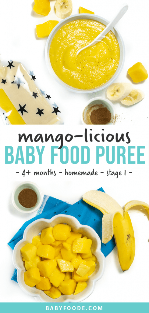 Post-Mango小菜Puree图形4个月以上自制Bob电竞竞猜Wist图像一碗芒果净化
