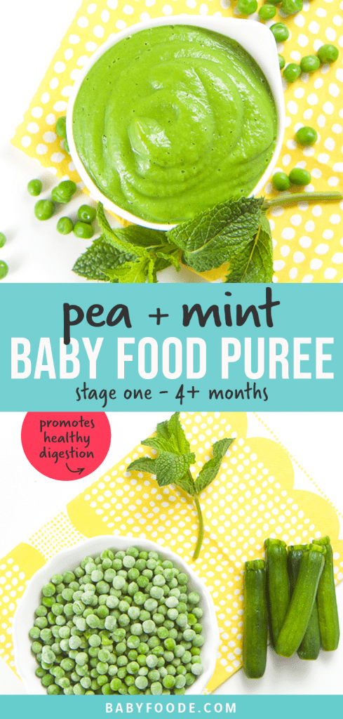 Pea和Mint婴儿食品Puree-Sche图像定序净化和成份使用