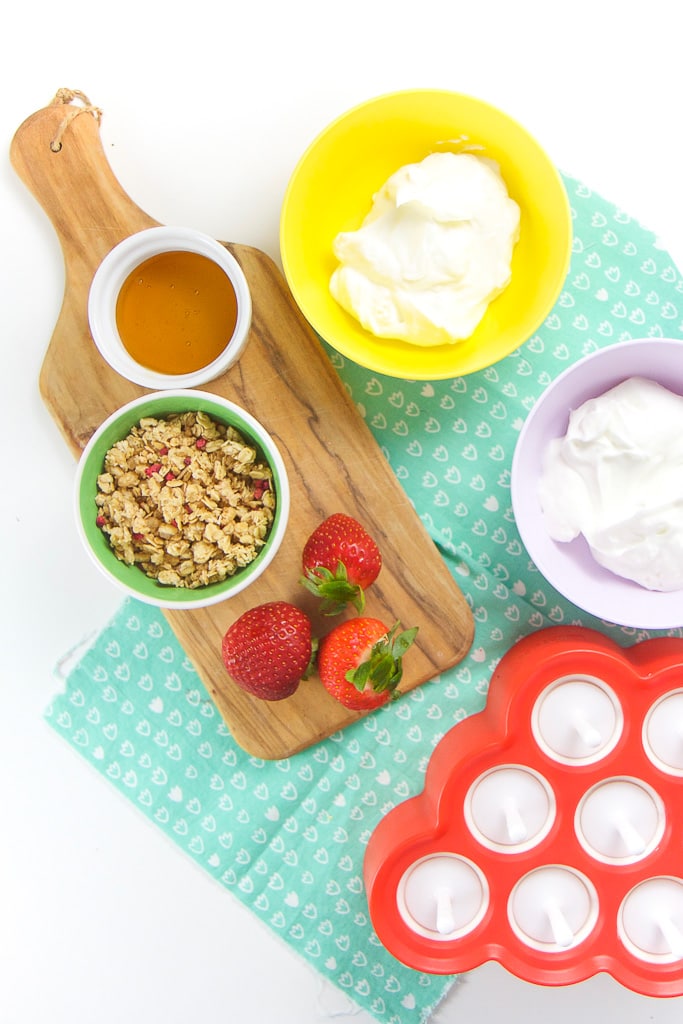 所有你需要制作健康酸奶 小朋友+-酸果果果、草莓和小米蜂蜜