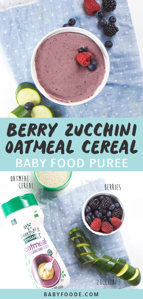 图形文章-Berry ZucchiniOatmeal小婴儿食品PureeBob电竞竞猜图片为Bowl紫色婴儿早餐谷类环绕 和产品图片白背景