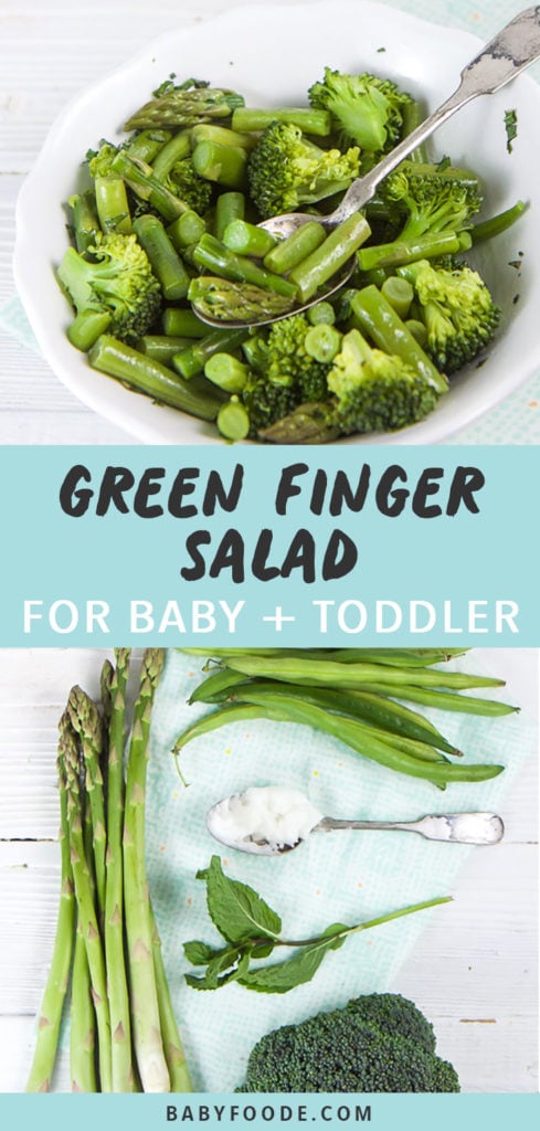 Post-Green手指沙拉图博+TodlerBob电竞竞猜白碗装满绿菜或婴儿带断奶, 以及蓝餐板上产品图片