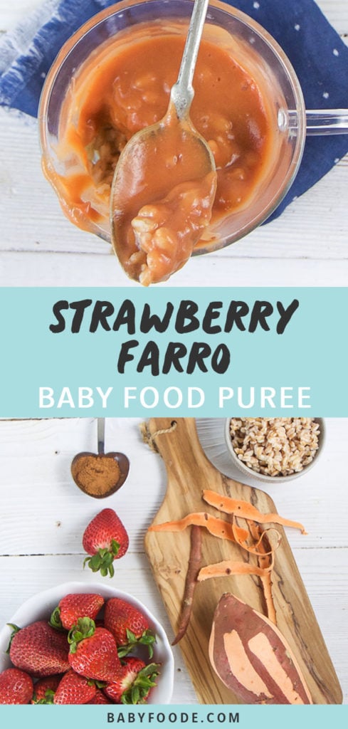 Bob电竞竞猜Post-Sprawberry Farro小菜Puree图形显示clejallshy草莓Farro小菜净化