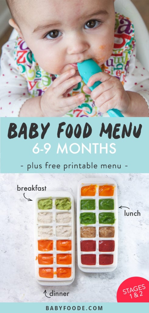 Post-BabyFood菜单-6-9个月加免费可打印菜单图片显示装满婴儿食品净化物的冷冻盘