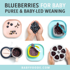 图形文章-蓝莓-Beaby-prene-Bea图像网格全蓝莓、纯蓝莓和冷蓝莓净化