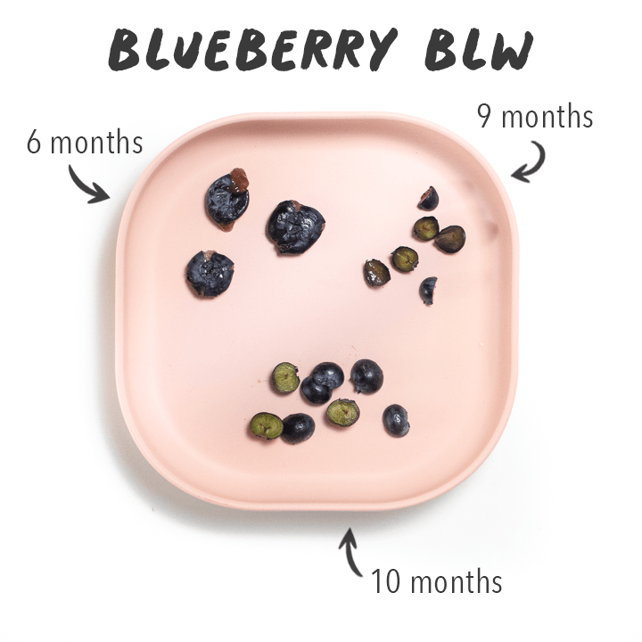 粉红色盘子蓝莓切三种不同方法 供不同年龄段的婴儿自食用