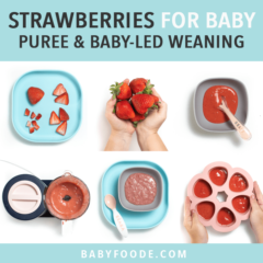 图形文章-草莓-婴儿-净化或由婴儿引导断奶图片网格显示各种食物