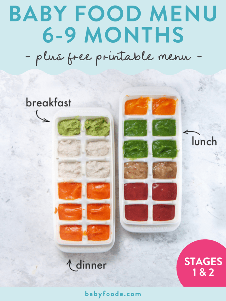图片发布-婴儿食品菜单6至9个月加免费可打印菜单两片白冰块装满不同颜色的标签表示早餐、午餐和晚饭