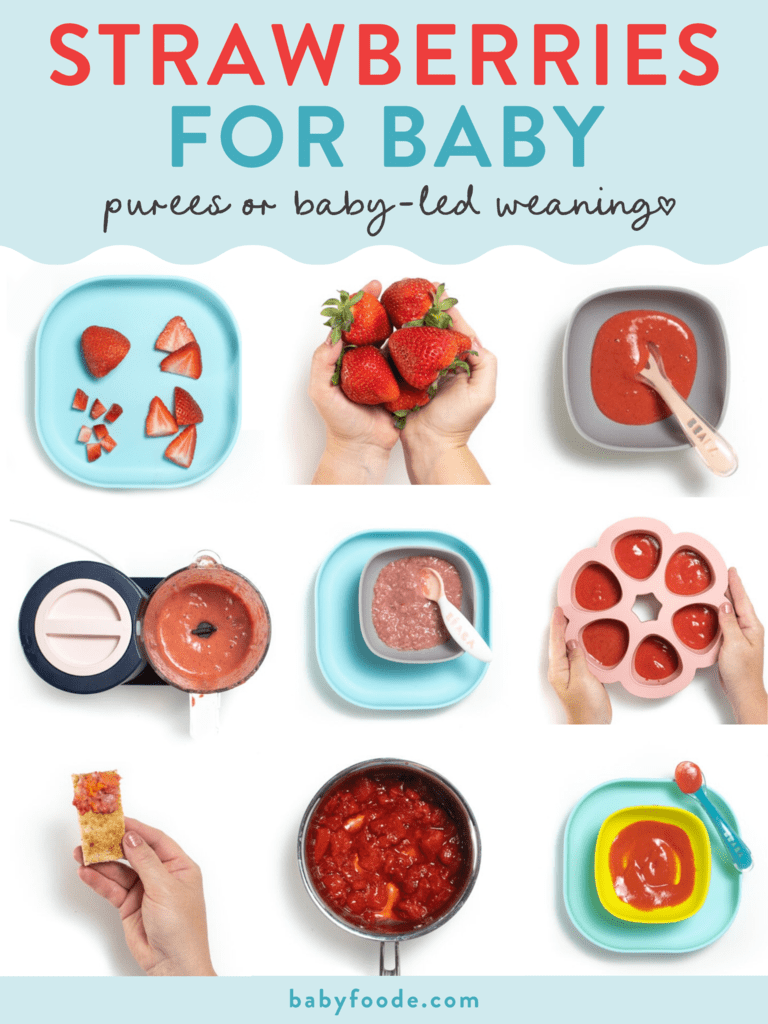 图形文章-草莓-婴儿-净化或婴儿引导断除图片网格与白后台并存, 内含灰碗和清草莓, 手握新鲜草莓, 蓝盘与小带织草莓并存, 粉红冰箱内含纯度