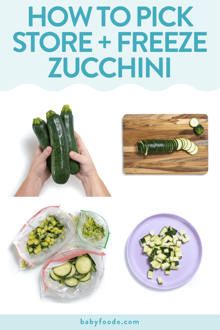 图形文章-选择存储zucchini图片网格与白背景对比显示如何割剪Zucchini