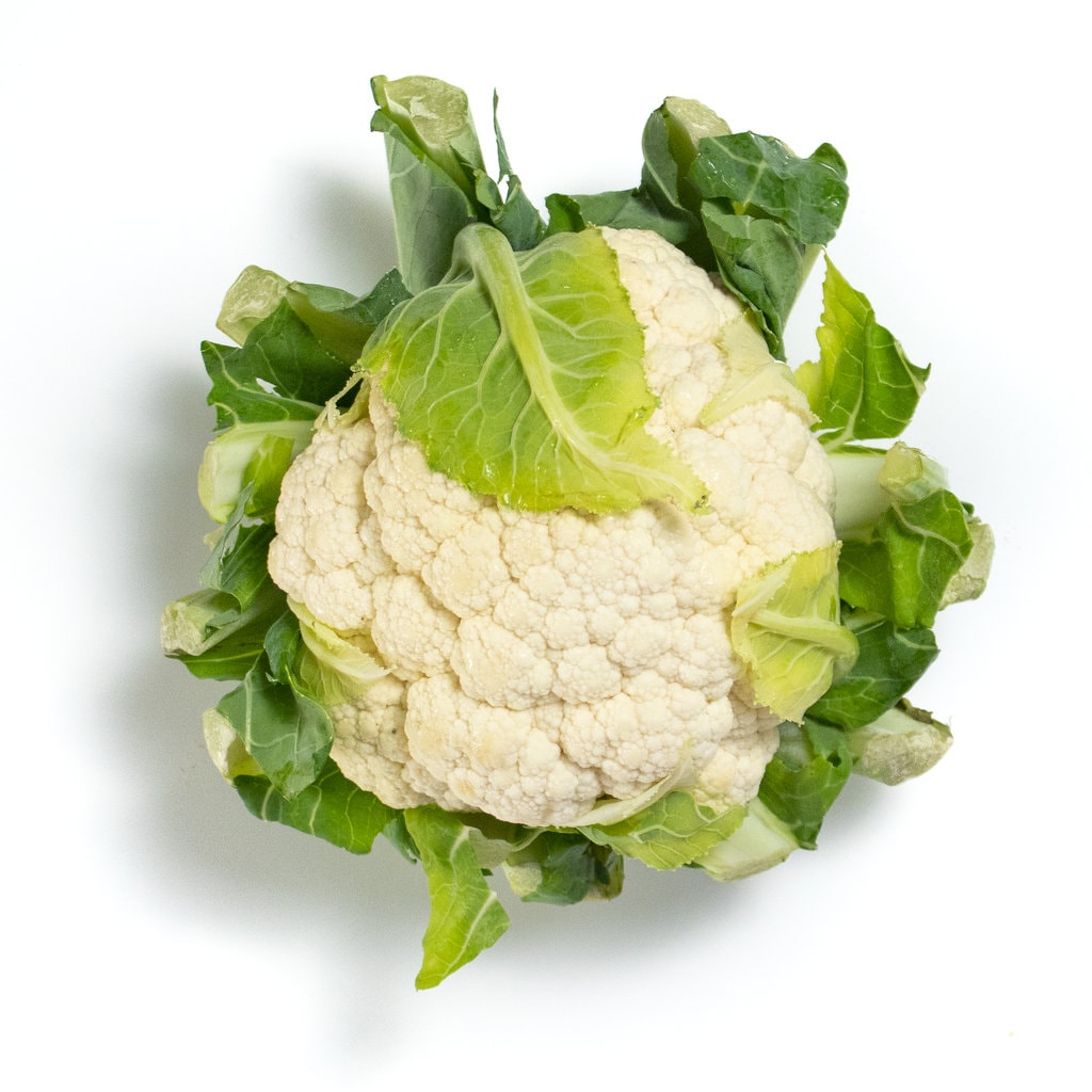 花椰菜的头在白色背景上。