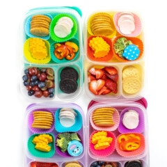 4个多色小朋友午餐盒配火鸡午餐、水果、蔬菜和侧面