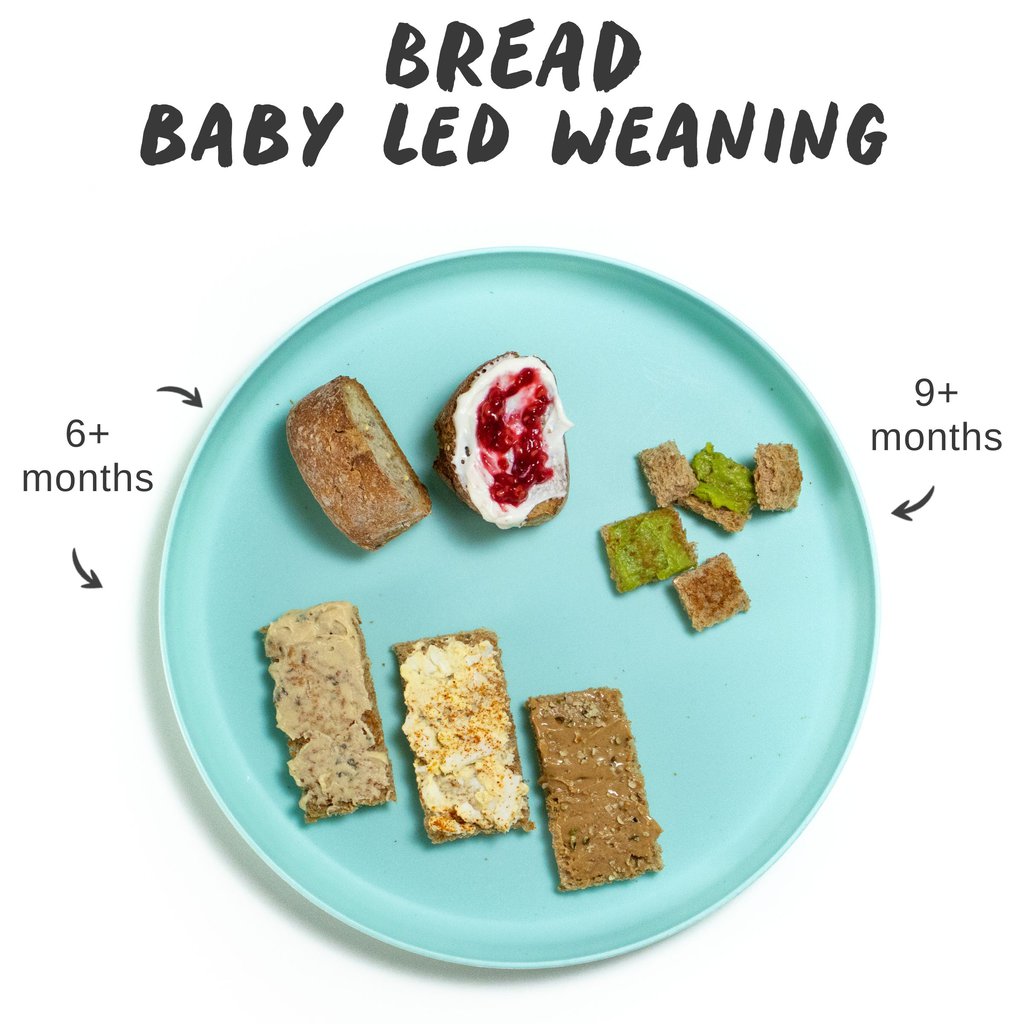 图形后面包编织图像显示蓝盘不同尺寸和图脚如何向婴儿提供面包和吐司