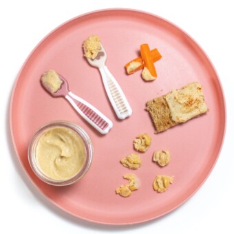 粉色小盘子以不同方式向小鸡豆提供,包括纯度和指料
