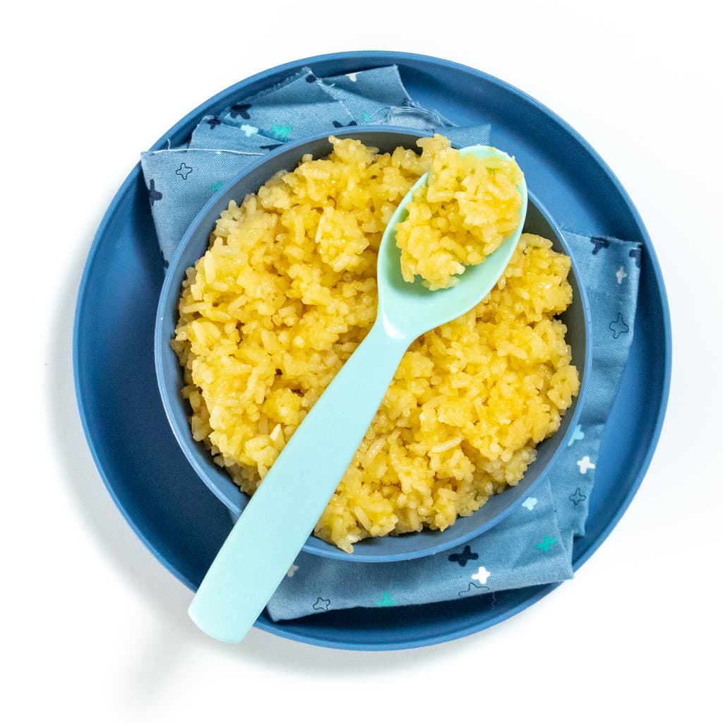 蓝碗盘盘子里有毛奶酪米 上铺蓝勺
